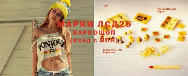 шишки Осинники