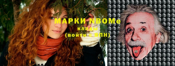 шишки Осинники