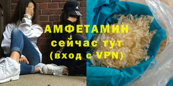 шишки Осинники