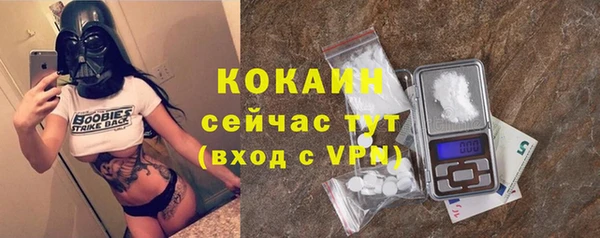 шишки Осинники