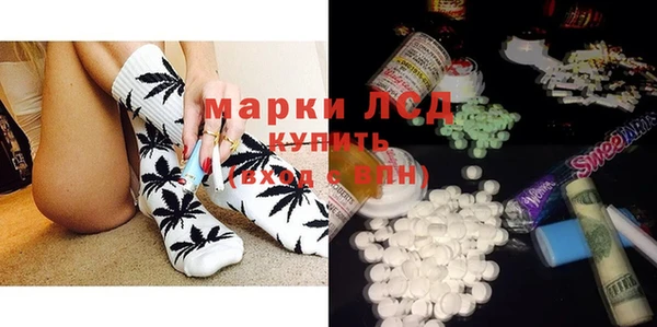 шишки Осинники
