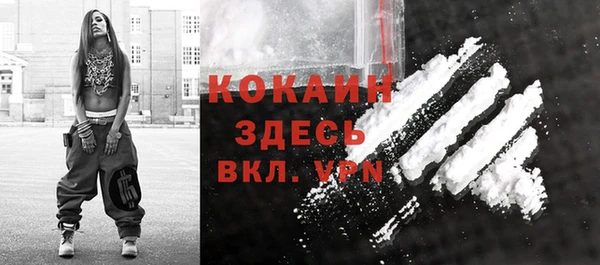 шишки Осинники