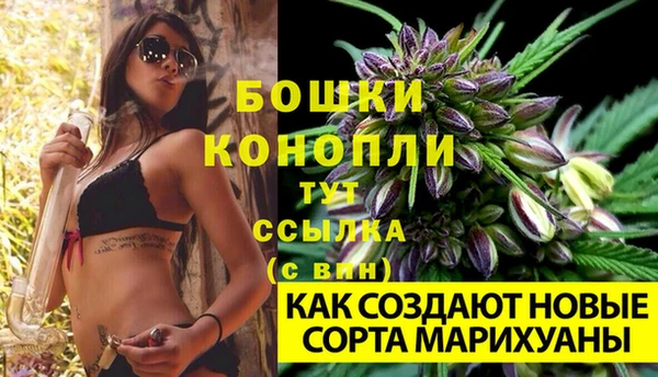 гидропоника Осташков