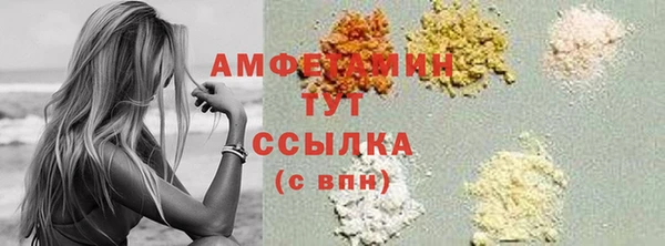 шишки Осинники