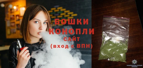 шишки Осинники